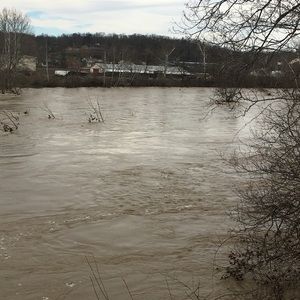 Meet your Posher, Tim